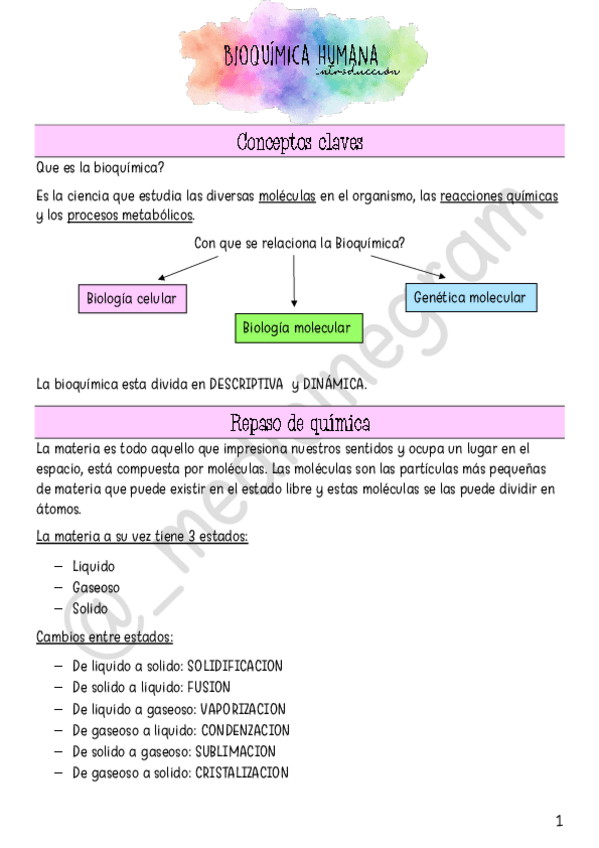 Miniatura del documento 1.pdf
