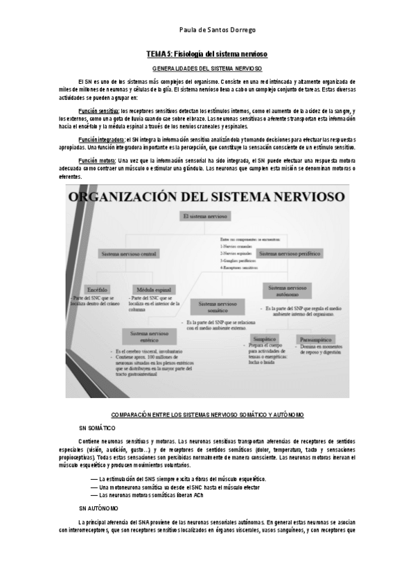 Miniatura del documento APUNTES--Tema-5.pdf