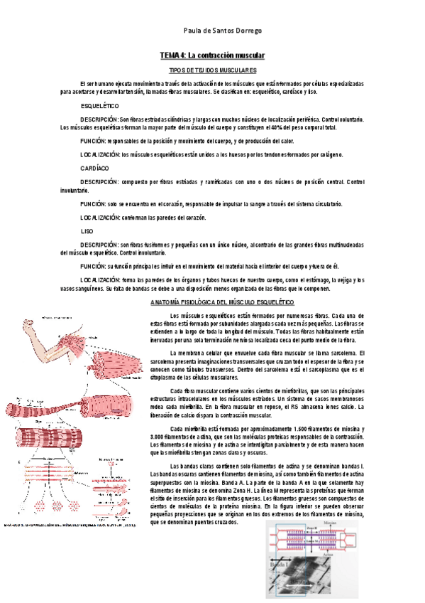 Miniatura del documento APUNTES--Tema-4.pdf