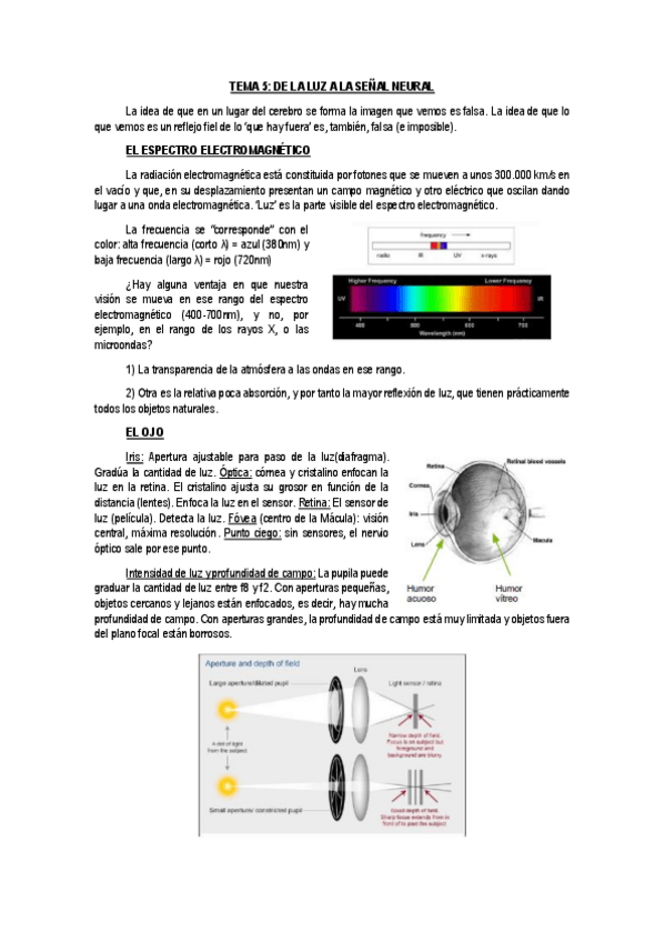 Miniatura del documento Tema-4.pdf