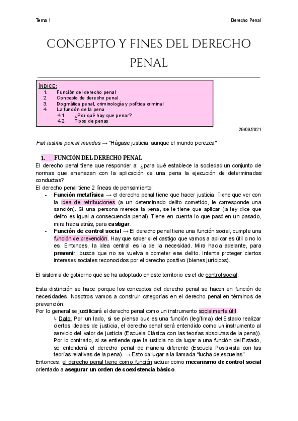 Miniatura del documento Tema-1-Concepto-y-fines-del-Derecho-Penal.pdf
