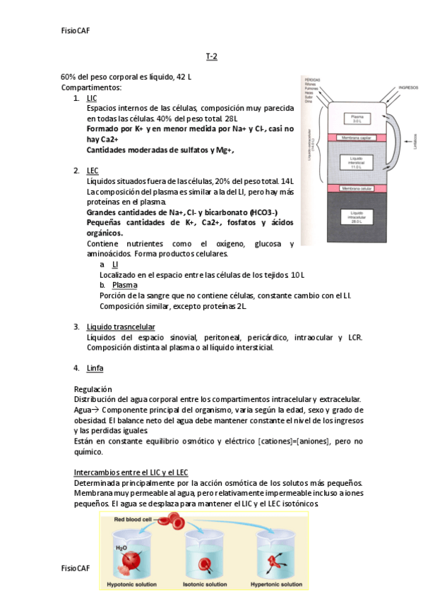 Miniatura del documento T-2.pdf