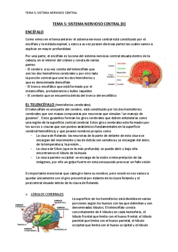 Miniatura del documento TEMA-5-SNC-II.pdf