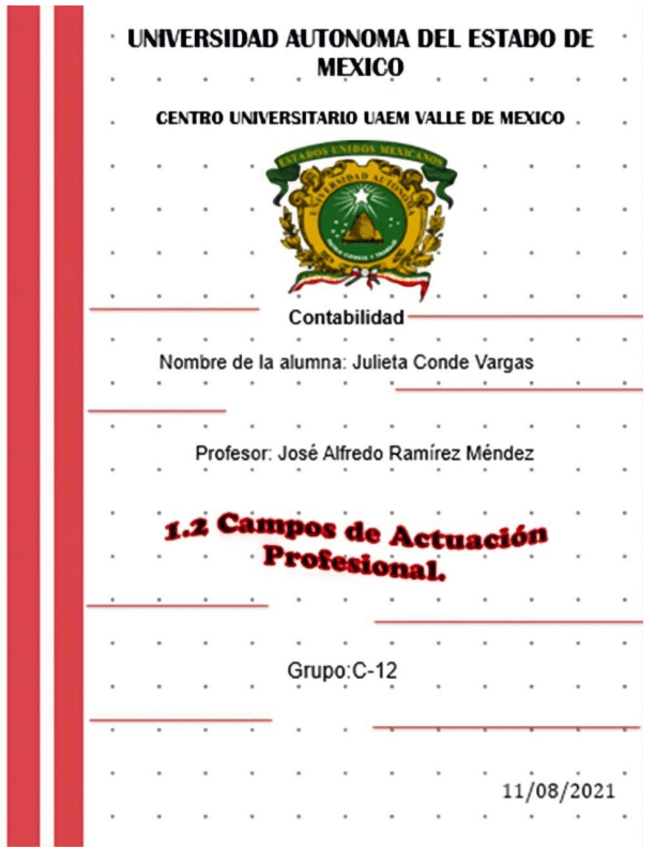 Miniatura del documento 1.2 CAMPO DE ACTUACION PROFESIONAL