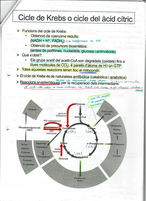Miniatura del documento tema-6-part-2.pdf