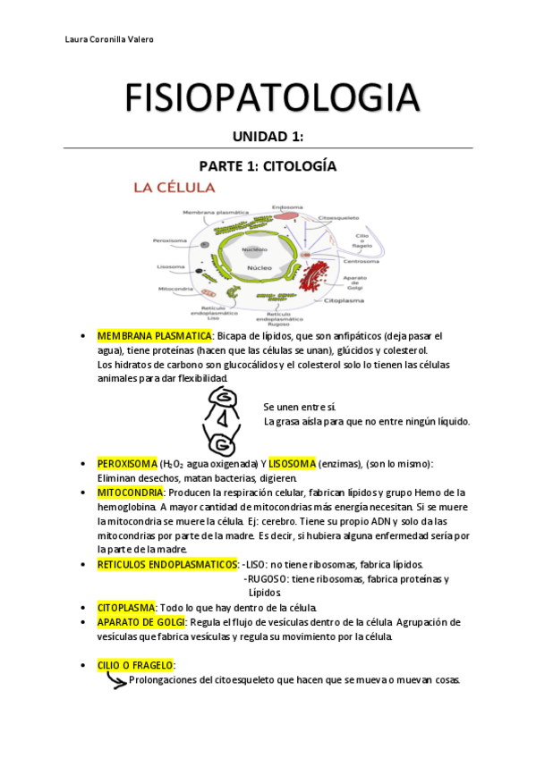 Miniatura del documento UNIDAD-1-fisiopatologia-GENERAL-1.pdf