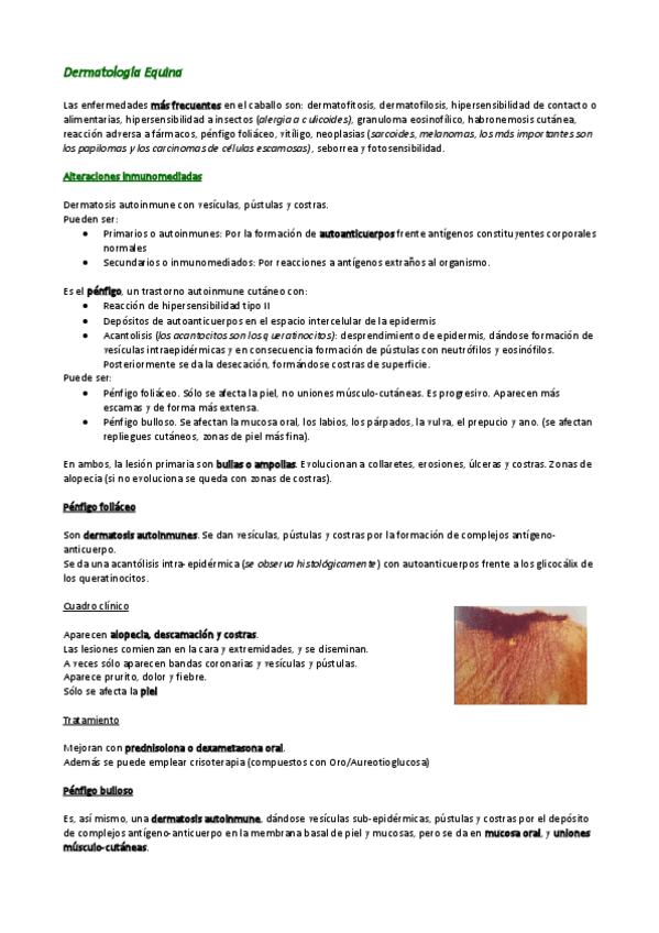 Miniatura del documento 6. Caballos. Nervioso.pdf