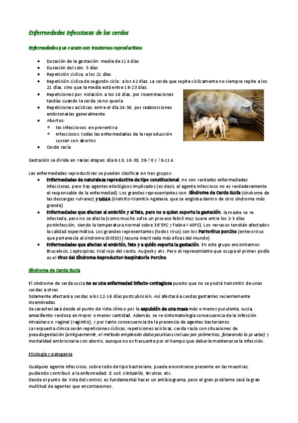 Miniatura del documento 4. Conejos.pdf