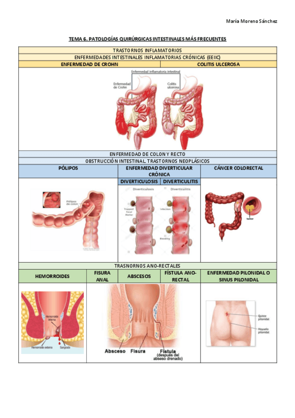Miniatura del documento Imagenes-Tema-6.pdf