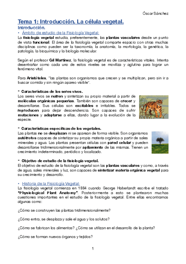 Miniatura del documento Tema-1-FV-I.pdf