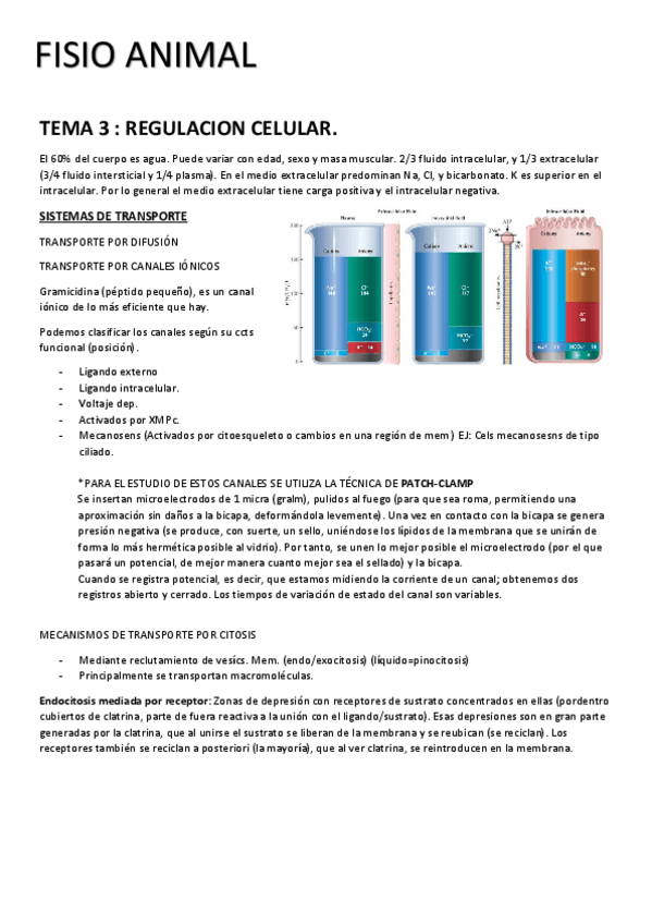 Miniatura del documento FA temario 3-29.pdf