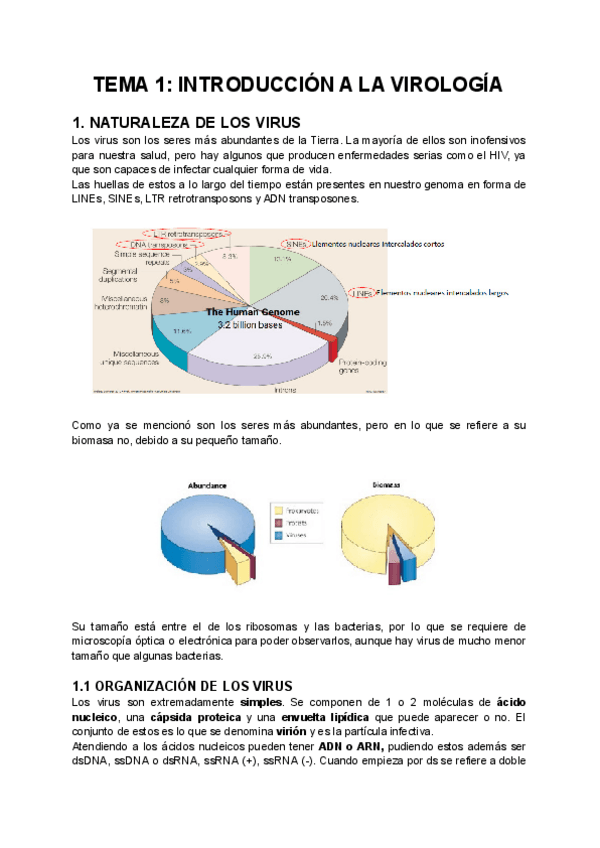 Miniatura del documento TEMA-1-INTRODUCCION-A-LA-VIROLOGIA.pdf