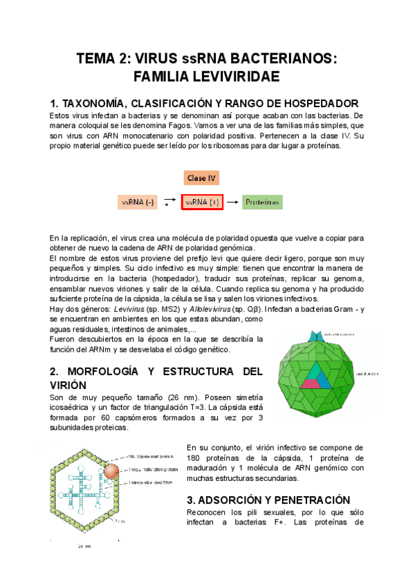 Miniatura del documento TEMA-2-VIRUS-ssRNA-BACTERIANOS-FAMILIA-LEVIVIRIDAE.pdf