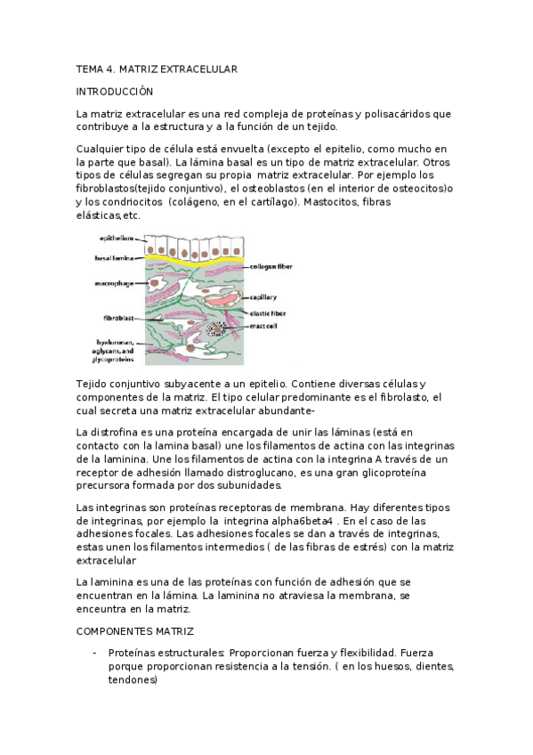 Miniatura del documento TEMA 1.docx