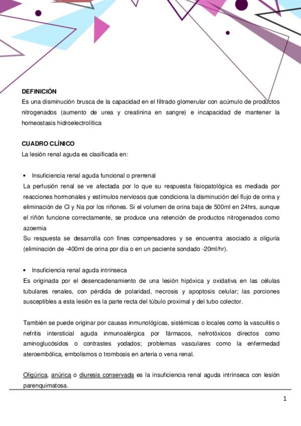 Miniatura del documento RIA.pdf