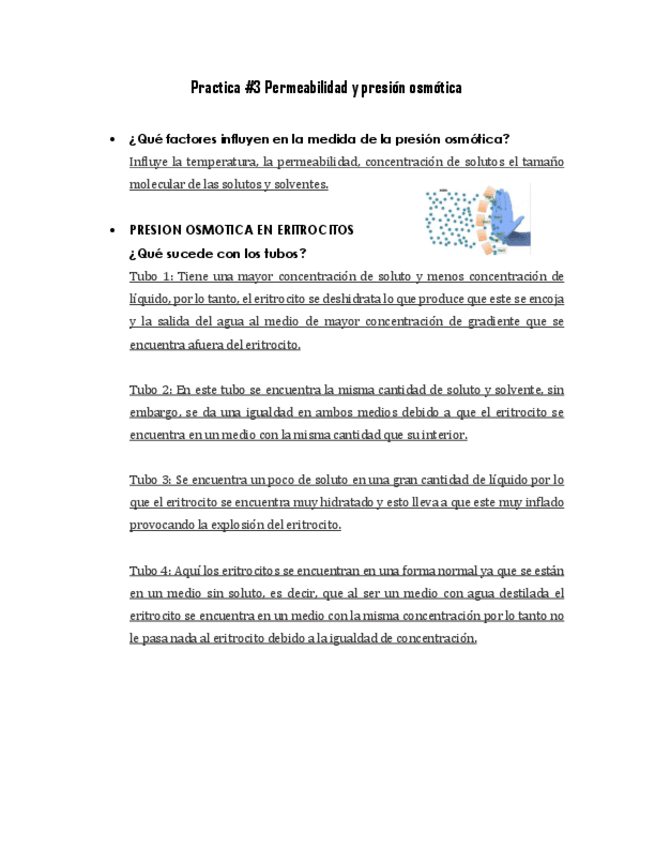 Miniatura del documento Practicas-3.pdf