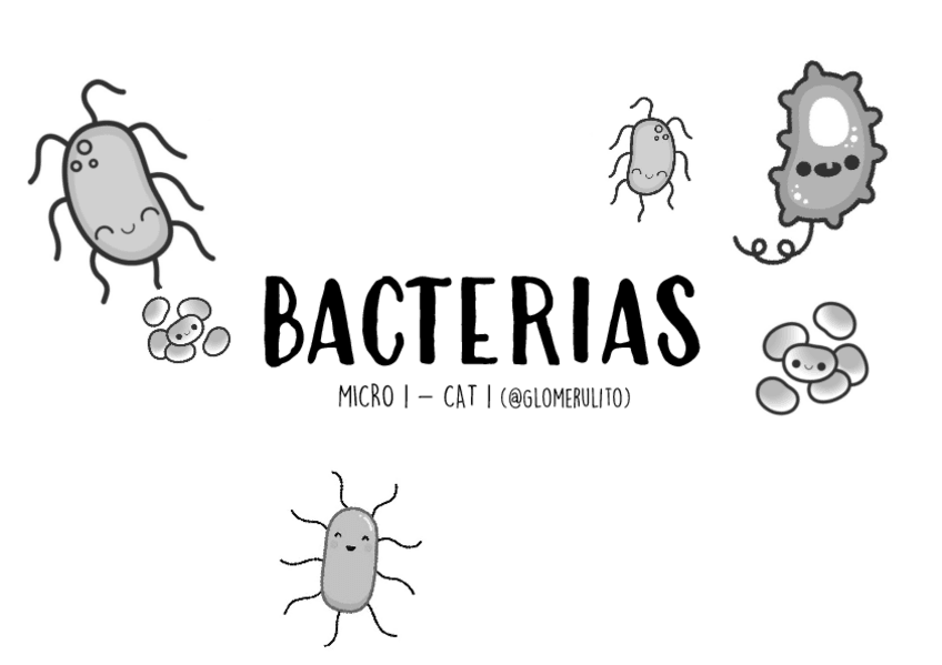 Miniatura del documento Cuadros-bacterias.pdf