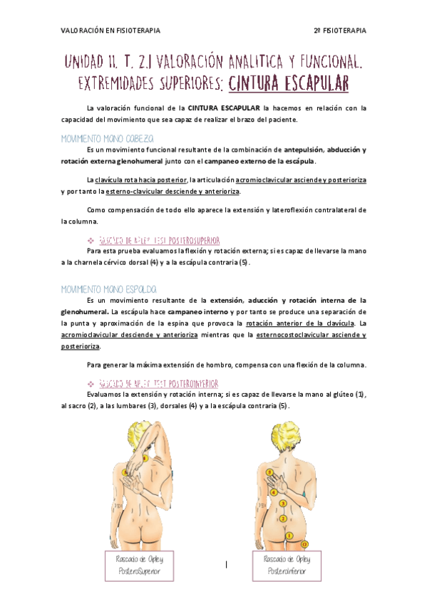 Miniatura del documento 2.1 Cintura Escapular