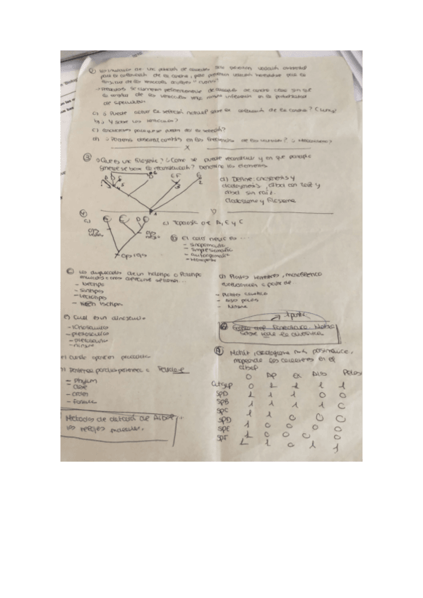 Miniatura del documento EXAMEN-2020.pdf