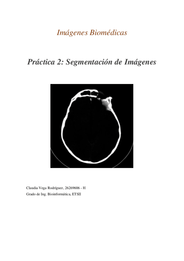Miniatura del documento Memoria-practica-2.pdf