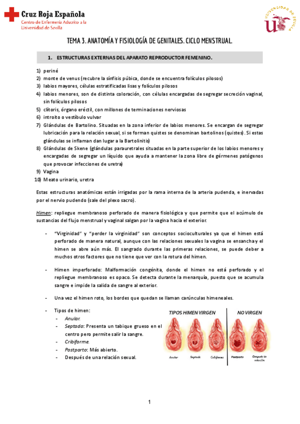 Miniatura del documento Tema-3-Reproductiva-1.pdf