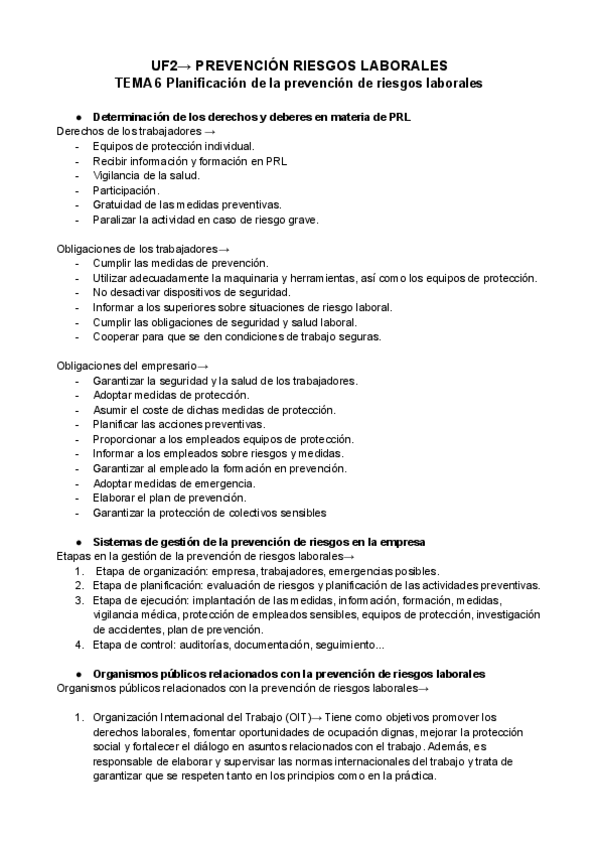 Miniatura del documento Planificacion-de-la-prevencion-de-riesgos-de-la-empresa.pdf
