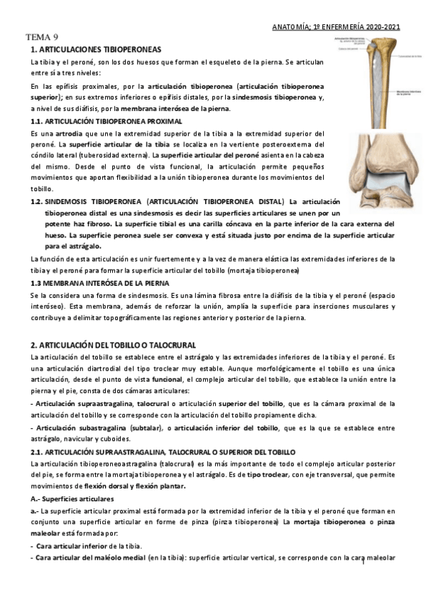 Miniatura del documento TEMA-9.pdf