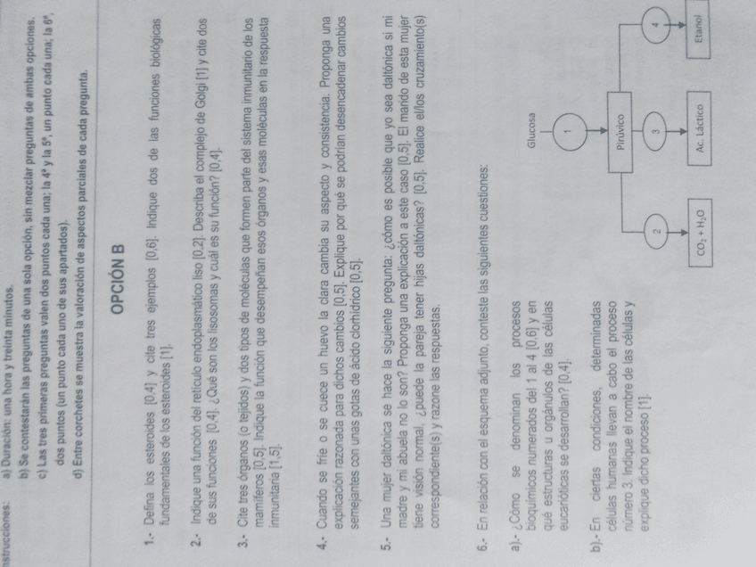 Miniatura del documento biologia selectivdad.jpg