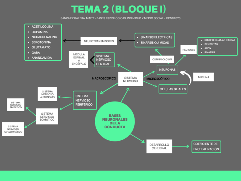 Miniatura del documento Mapa-mental-2.pdf