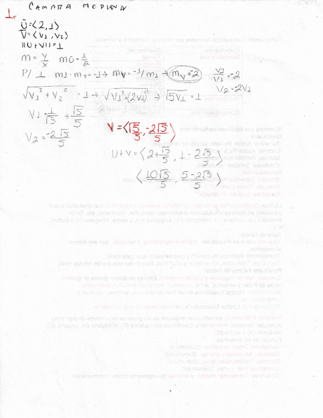 Miniatura del documento Parcial-1.pdf