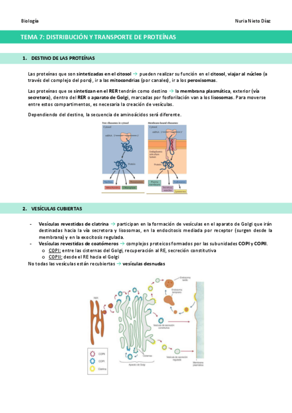 Miniatura del documento TEMA-7-Distribucion-y-transporte-de-proteinas.pdf
