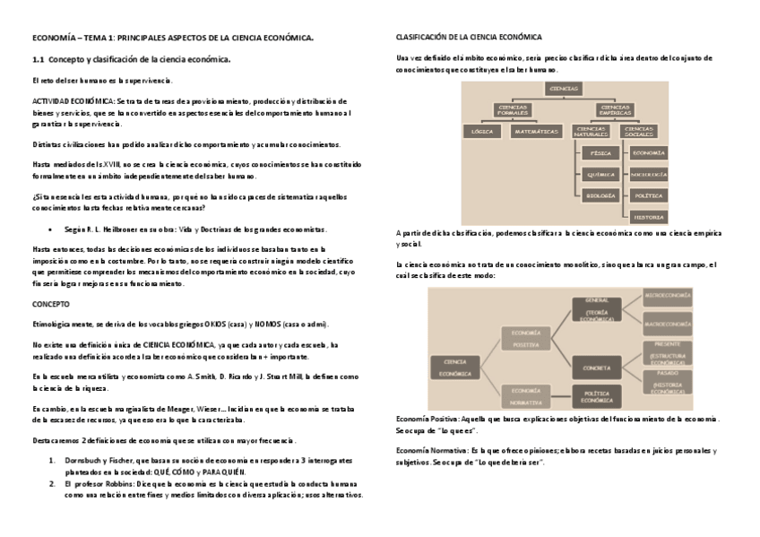Miniatura del documento ECONOMIA1.pdf