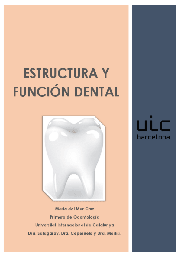 Miniatura del documento Apuntes matrícula de Honor dental.pdf