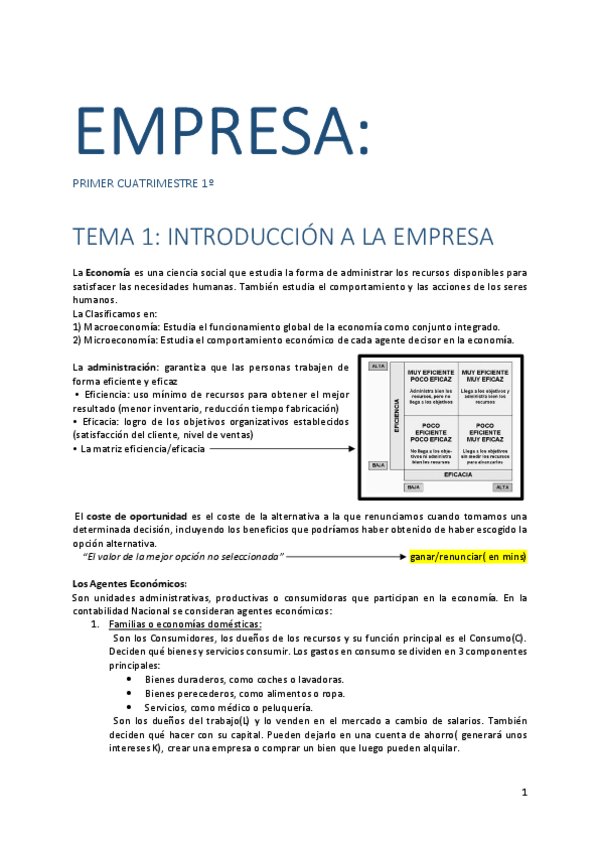 Miniatura del documento FOGE-APUNTES.pdf