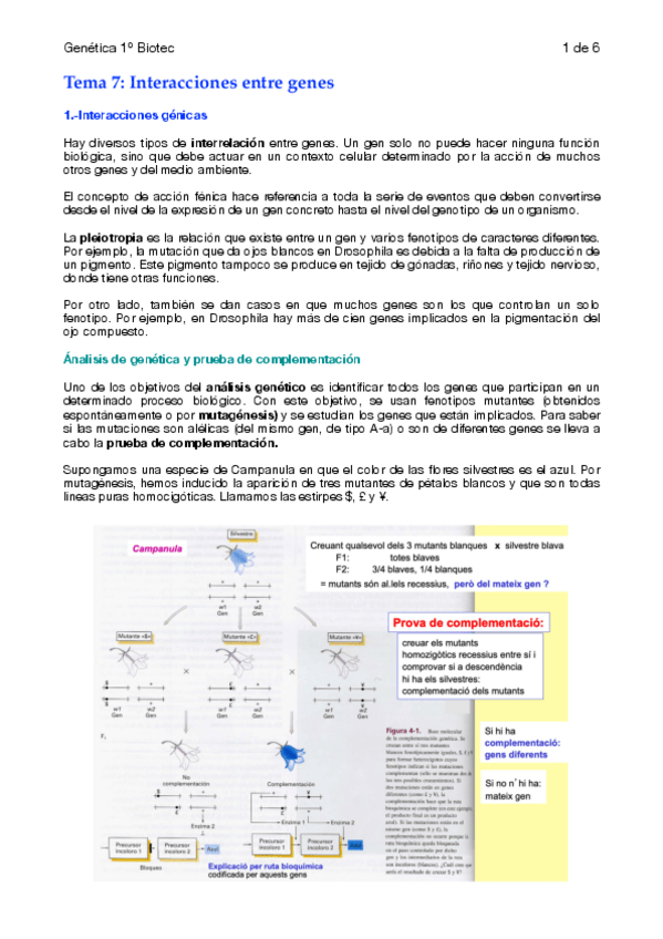 Miniatura del documento tema-7.pdf