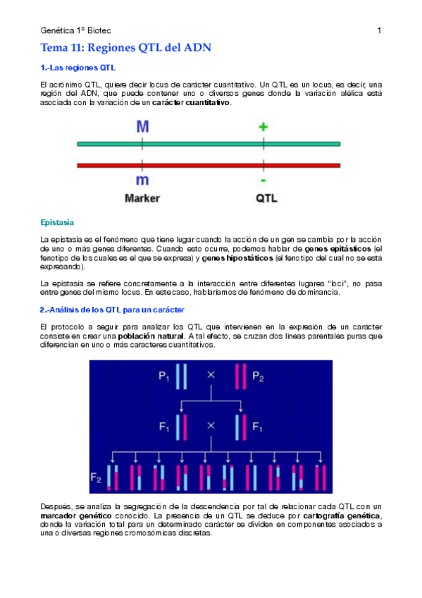 Miniatura del documento Tema-11.pdf
