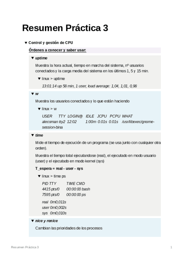 Miniatura del documento ResumenPrctica3.pdf