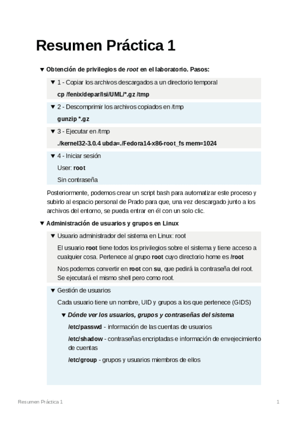 Miniatura del documento ResumenPrctica1.pdf