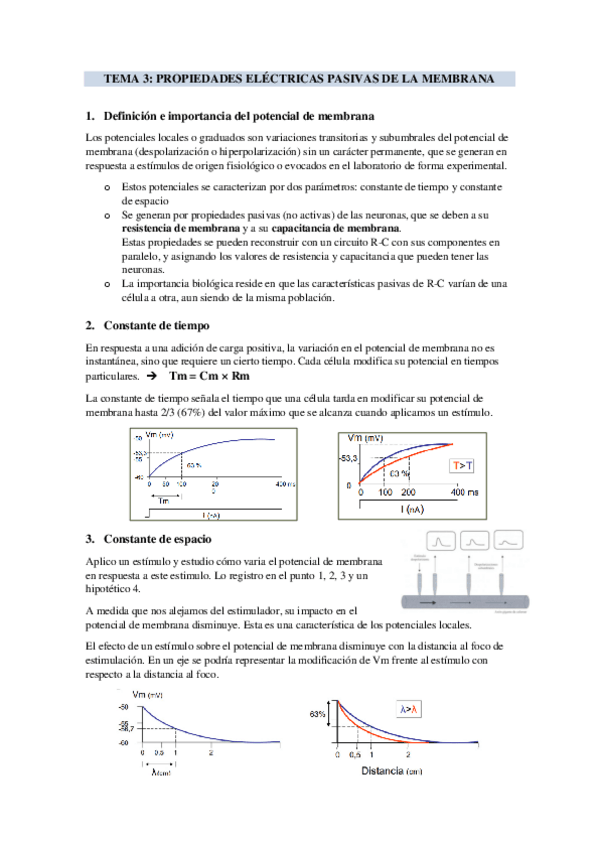Miniatura del documento TEMA-3-PROPIEDADES-ELECTRICAS-PASIVAS-DE-LA-MEMBRANA.pdf