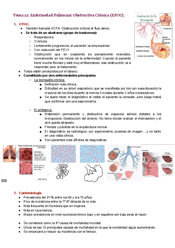 Miniatura del documento Tema-12.pdf