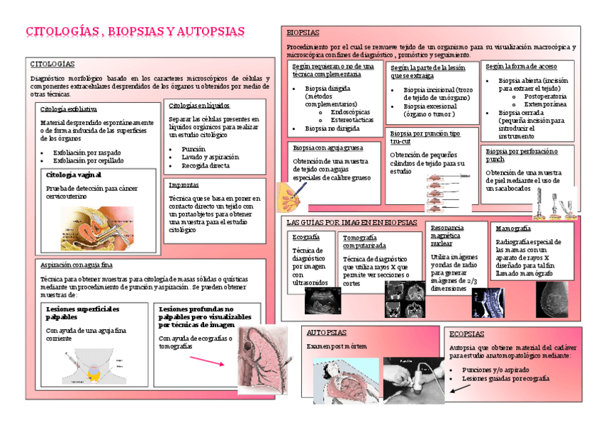 Miniatura del documento GMB-MAPA-CONCEPTUAL-UNIDAD-10.pdf