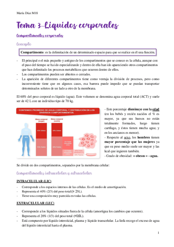 Miniatura del documento t3.pdf