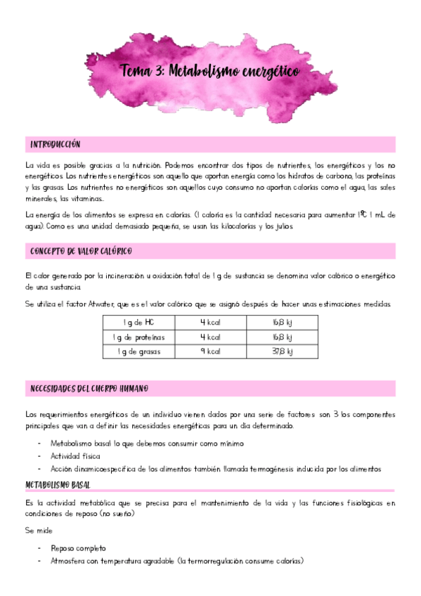 Miniatura del documento Tema-3.pdf