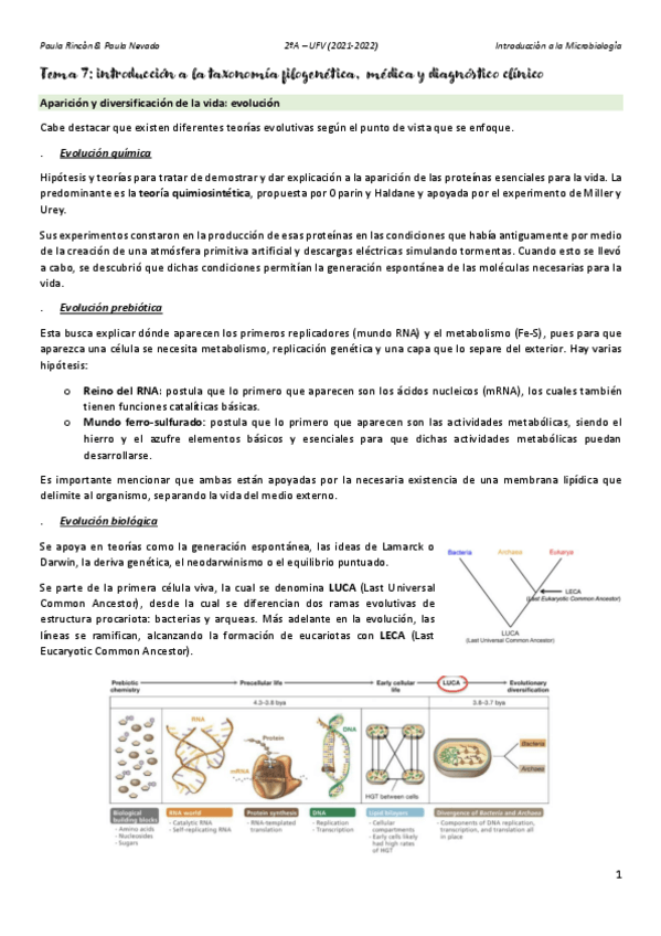 Miniatura del documento Introduccion-a-la-Microbiologia-T7.pdf