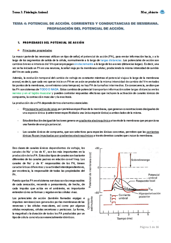 Miniatura del documento TEMA-4.pdf