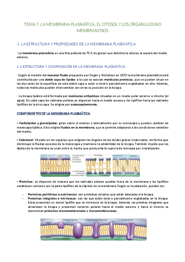 Miniatura del documento Tema-7.pdf
