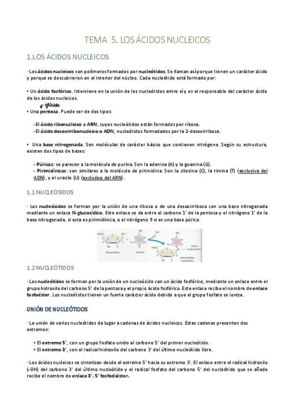 Miniatura del documento Tema-5.pdf