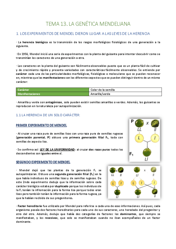 Miniatura del documento Tema-13.pdf