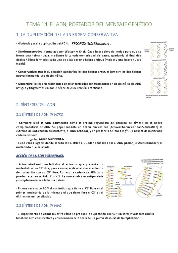 Miniatura del documento Tema-14.pdf