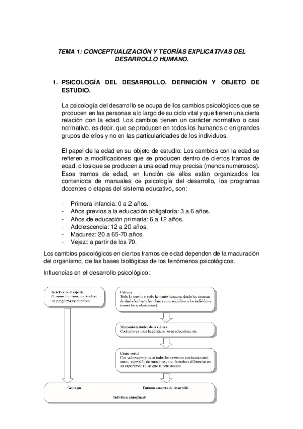 Miniatura del documento 1.pdf